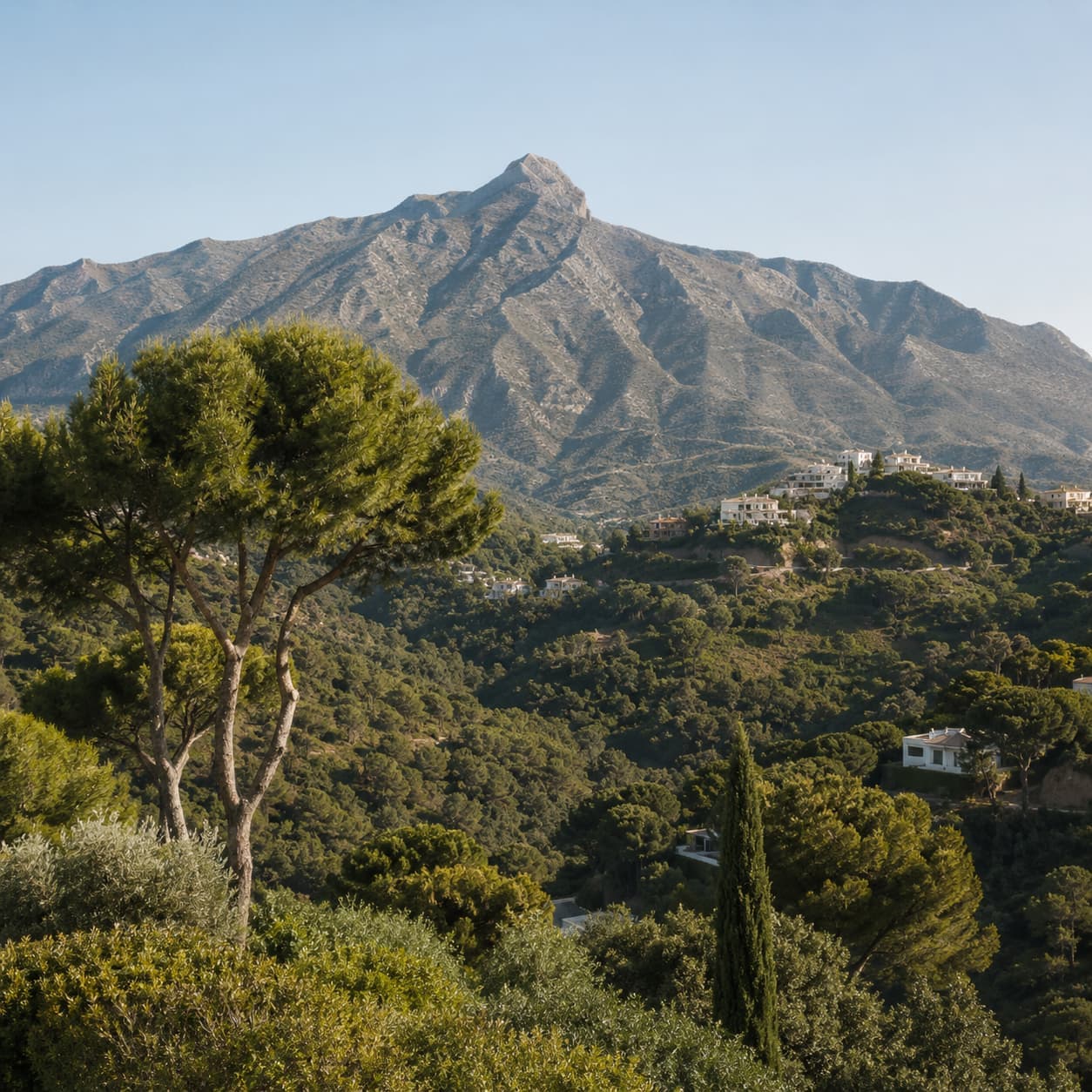 Understanding Sea Views, Orientation and Micro-Locations