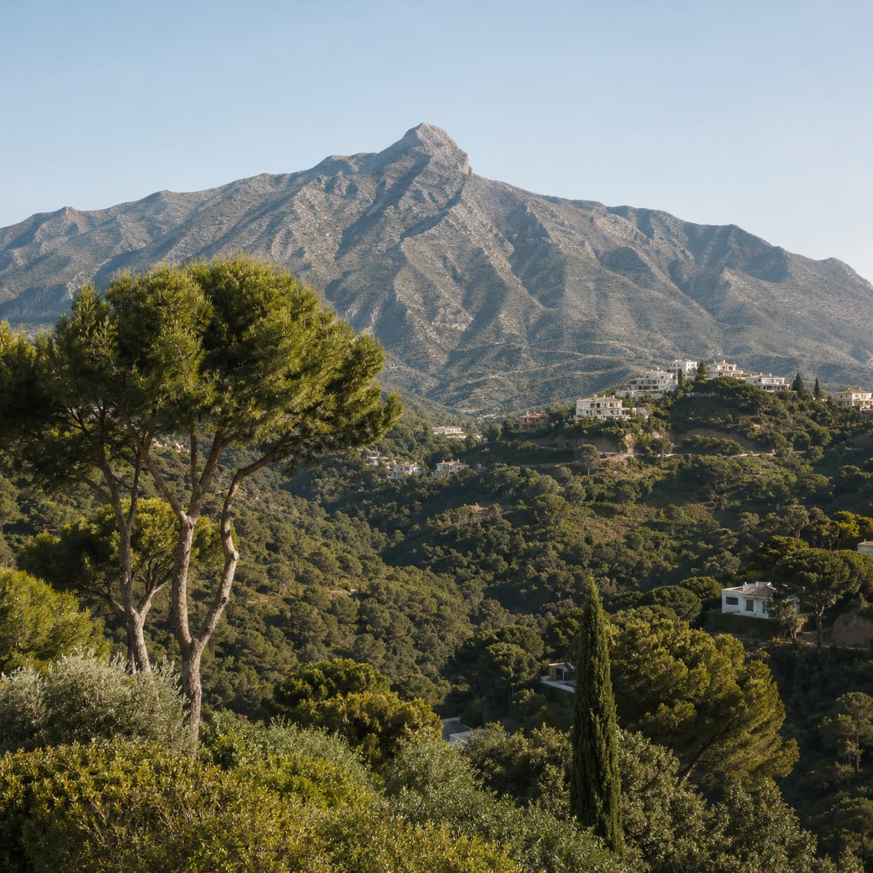 Marbella Costa del Sol property landscape